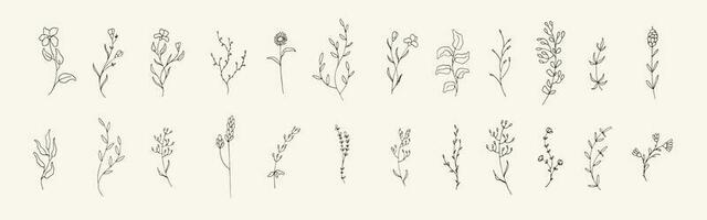 grande agrupar do floral mão desenhado ilustração. coleção do vintage selvagem flor elemento vetor