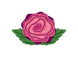 flor rosa ícone vetor