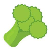 uma verde vegetal com muitos do poros em isto com haste para mostrar ícone para brócolis vetor
