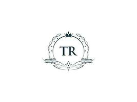 inicial real tr logotipo ícone, minimalista tr rt coroa logotipo ícone vetor