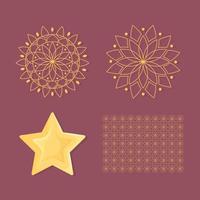 mandalas estrela floral vetor