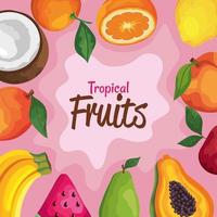 letras de frutas tropicais