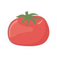 tomate vegetal fresco vetor