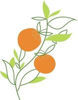 laranja fresco fruta natural ilustração vetor