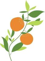 laranja fresco fruta natural ilustração vetor
