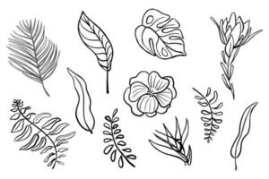 1 linha desenhando conjunto com tropical folhas e flores abstrato minimalista estilo plantas. botânico elementos. vetor ilustração para cartazes, cartões, têxtil, logotipo.