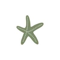 estrela do Mar. atlântico estrela. marinho animal vetor ilustração em branco fundo.