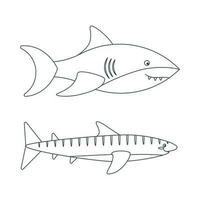 conjunto do marinho elementos do peixe, Tubarão dentro plano desenho animado estilo. linha arte. vetor
