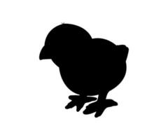 galinha ou frango silhueta isolado dentro branco fundo. livre pastar galinha pássaro dentro a correr vetor