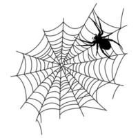 assustador Preto aranha rede isolado em branco. assustador dia das Bruxas decoração. vetor