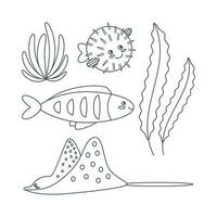 conjunto do marinho elementos do peixe, baiacu peixe, algas marinhas dentro plano desenho animado estilo. linha arte. vetor