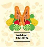 letras de frutas locais frescas com mamão e frutas vetor