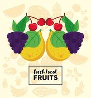 letras de frutas locais frescas com uvas e frutas vetor