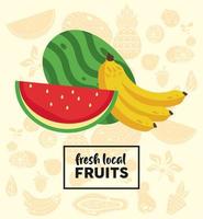 letras de frutas locais frescas com melancia e banana vetor