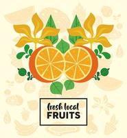 letras de frutas locais frescas com laranjas e folhas vetor