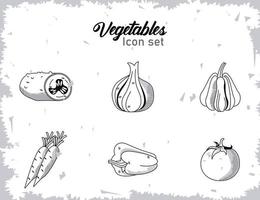 pacote de seis vegetais com ícones de letras vetor