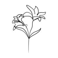 contínuo 1 linha arte desenhando do beleza lírio flor vetor