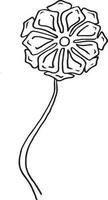 selvagem flor, mão desenhado vetor ilustração, floral linha desenho, linha arte, vetor