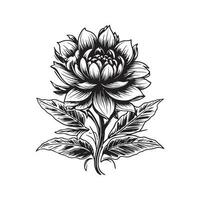 flor, vintage logotipo linha arte conceito Preto e branco cor, mão desenhado ilustração vetor