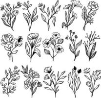 conjunto coleção mão desenhado tinta floral linha arte ilustração vetor