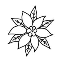 mão desenhado esboço ilustração do poinsétia. Natal decorativo floral elemento dentro rabisco estilo vetor