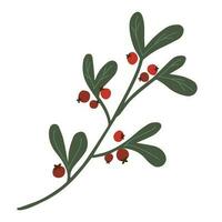 mão desenhado visco vetor isolado clipart. Natal decorativo floral elemento dentro rabisco estilo