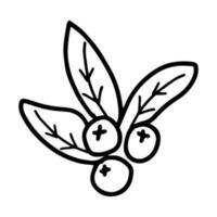 mão desenhado ilustração do folhas com bagas. decorativo floral elemento dentro rabisco estilo vetor