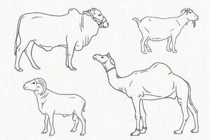 conjunto do doméstico animal linha desenho. vaca bode ovelha e camelo para qurbani vetor