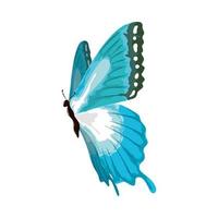 borboleta pintura em aquarela vetor