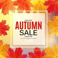 folhas de outono brilhantes cartão de desconto comercial de banner de venda vetor
