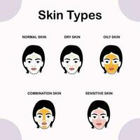 moderno vetor do pele tipos normal, seco, combinação, oleoso, sensível
