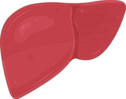 cor vetor ilustração do fígado, interno órgãos, Vitamina uma