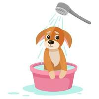 desenho animado cachorro leva uma banho. spa e cachorro Cuidado conceito. fofa vermelho cachorro goza salão tratamentos. limpar \ limpo feliz animal. vetor ilustração.