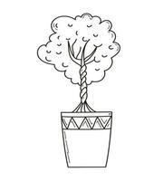 ficus árvore casa plantar em Panela. mão desenhado rabisco esboço vetor ilustração