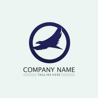 design de logotipo de pássaros e andorinhas e asas de animais vetoriais e pássaros voando vetor