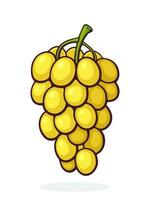 desenho animado ilustração do uma grupo do uvas com oval amarelo bagas vetor