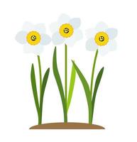 ilustração vetorial de fundo de flores de narciso primavera vetor