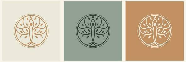 Oliva árvore logotipo. extra virgem Oliva óleo rótulo ícone. árvore do vida símbolo. orgânico ramo marca identidade. plantar folha placa. vetor ilustração.