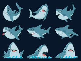 oceano Tubarão mascote. assustador tubarões animais, sorridente mandíbulas e natação Tubarão desenho animado vetor ilustração conjunto