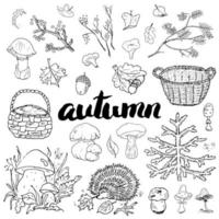 conjunto de temporada de outono. mão desenhada rabiscos e letras de ilustração vetorial.