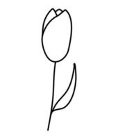 botânico linha arte folhas flor vetor ilustração
