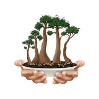 bonsai árvore composição vetor