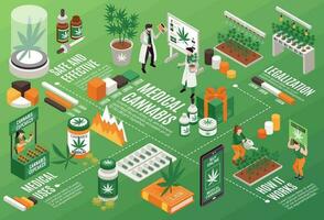 cannabis horizontal infográficos ilustração vetor