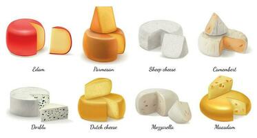 realista queijo ícone conjunto vetor