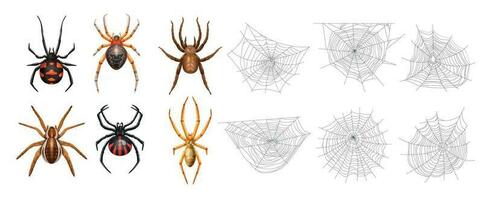 realista aranha rede ícone conjunto vetor