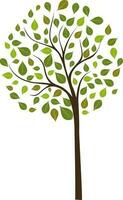 ilustração do árvore com verde folhas. vetor