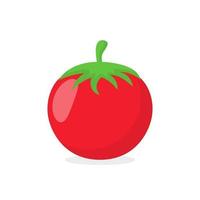 vetor de tomate fruta
