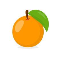 vetor de fruta laranja