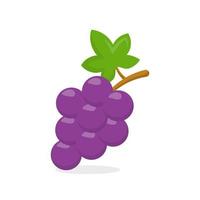 vetor de uva