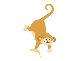 engraçado macaco com uma banana suspensão em Está cauda. vetor isolado desenho animado tropical animal.